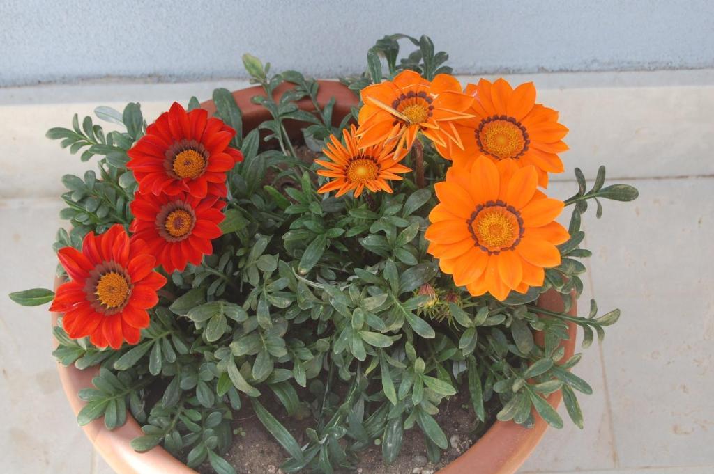 קיארמונטה גולפי Terre Iblee Resort מראה חיצוני תמונה